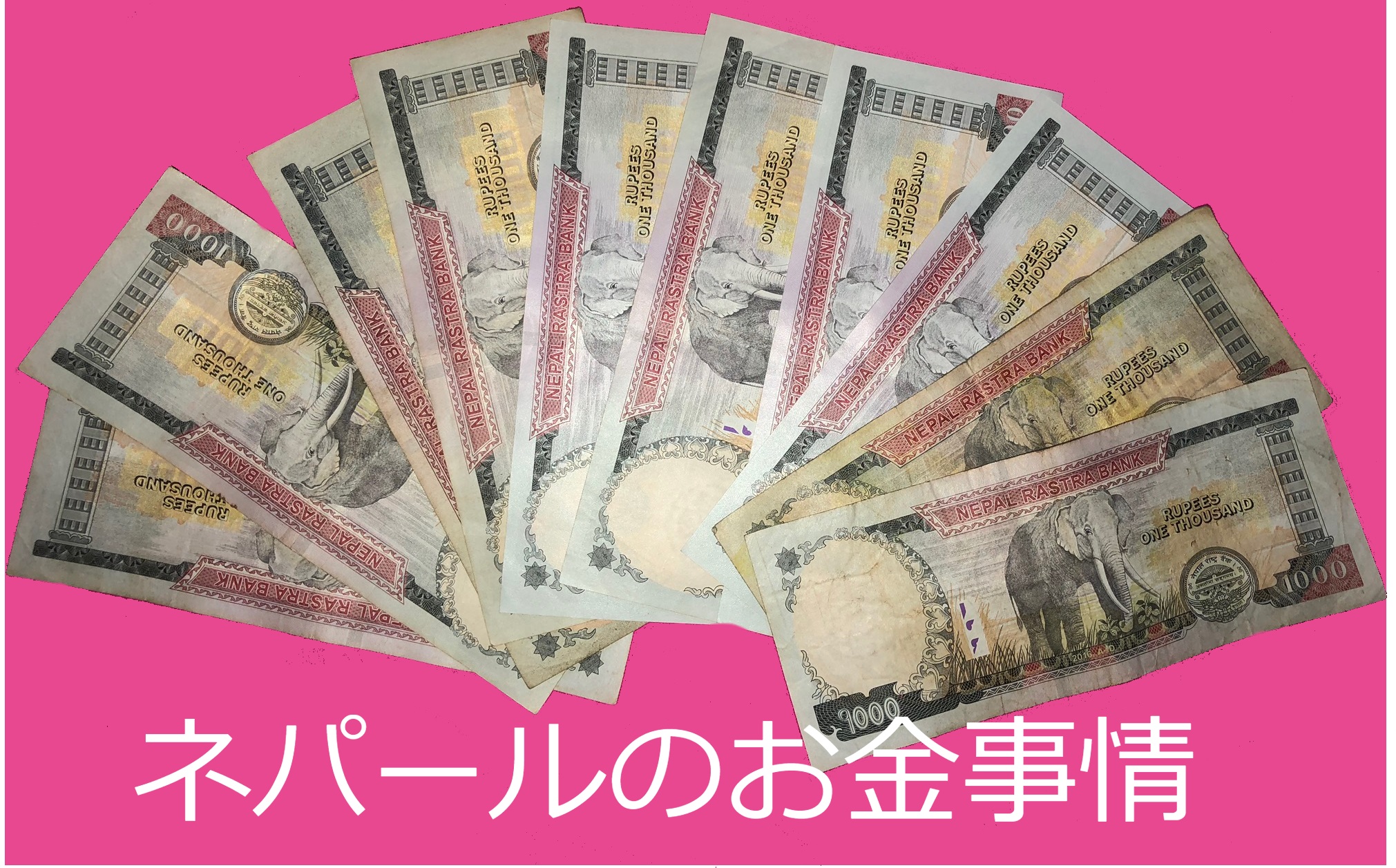 ネパールのお金事情 | D-COOL